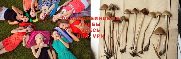PSILOCYBIN Абинск