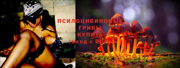 PSILOCYBIN Абинск