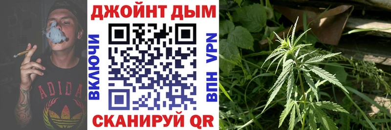 Бошки Шишки конопля  Киселёвск 
